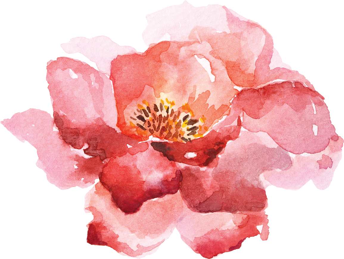 Red Flower Painting 